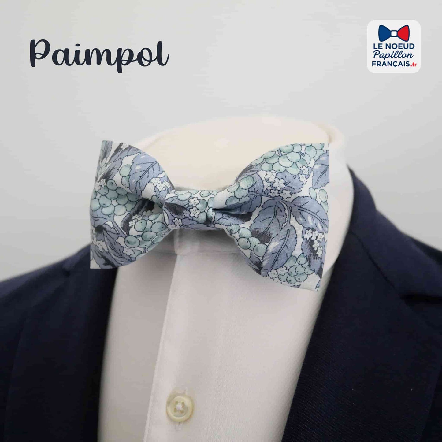 noeud papillon bleu gris