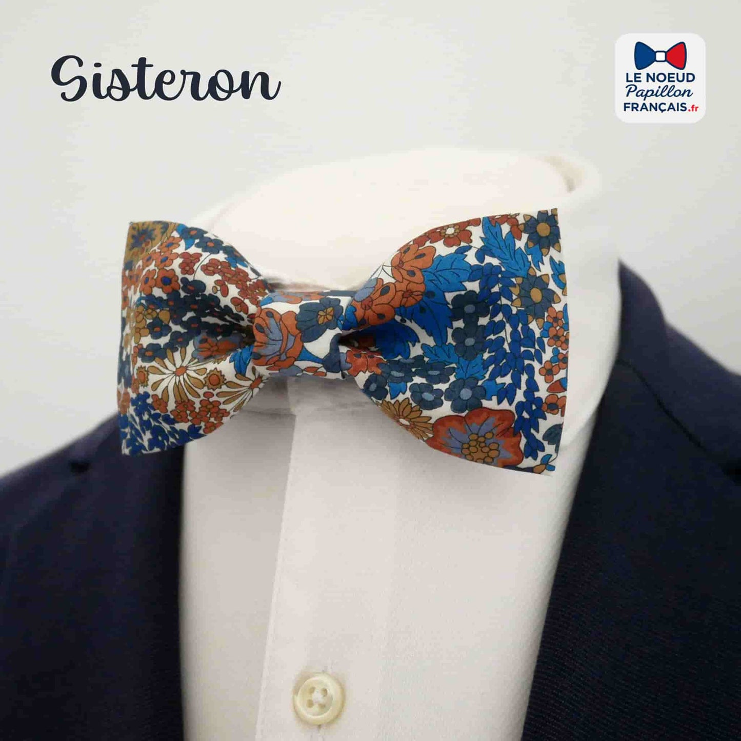 noeud papillon bleu terracotta