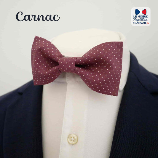 Noeud papillon rose à pois