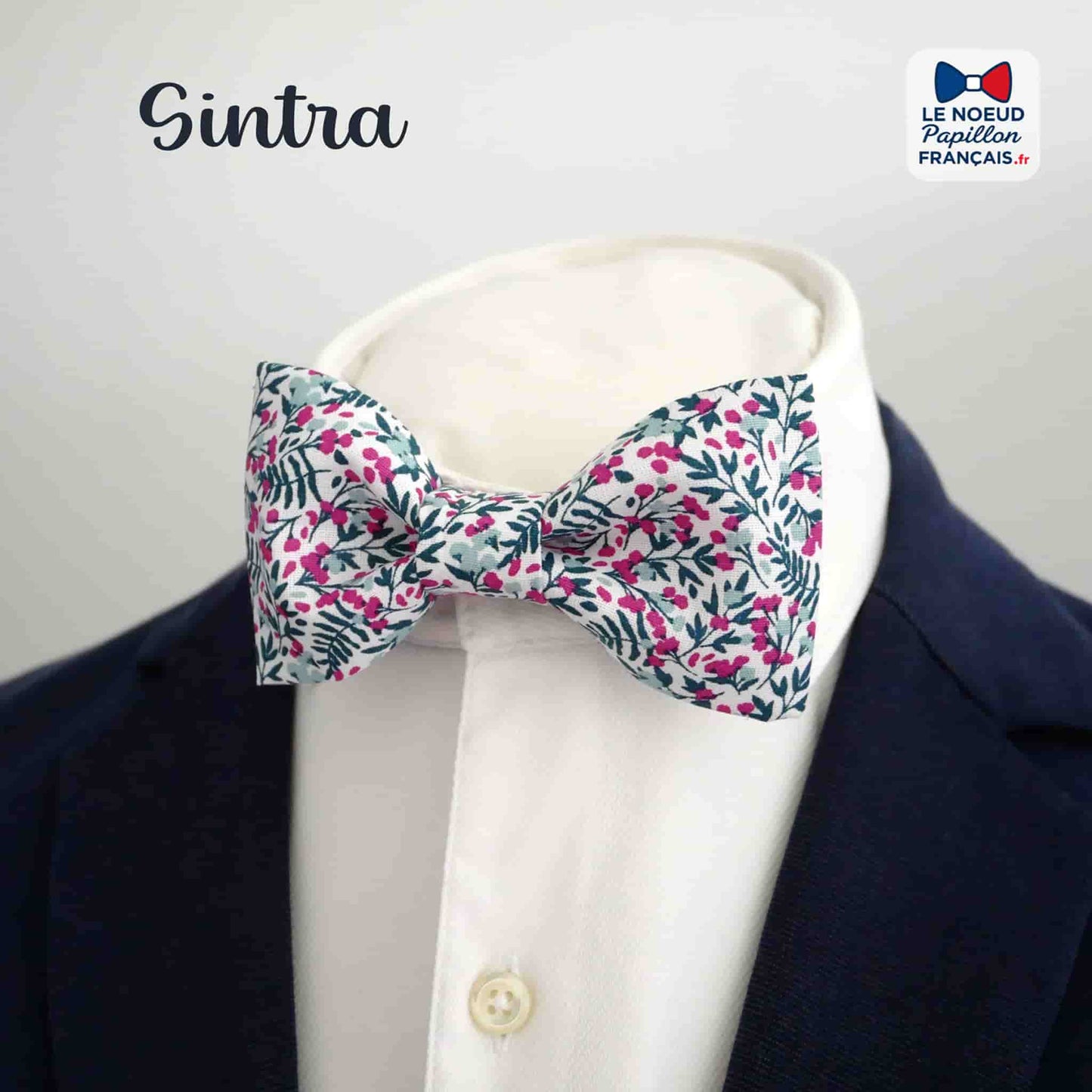 Noeud papillon vert violet