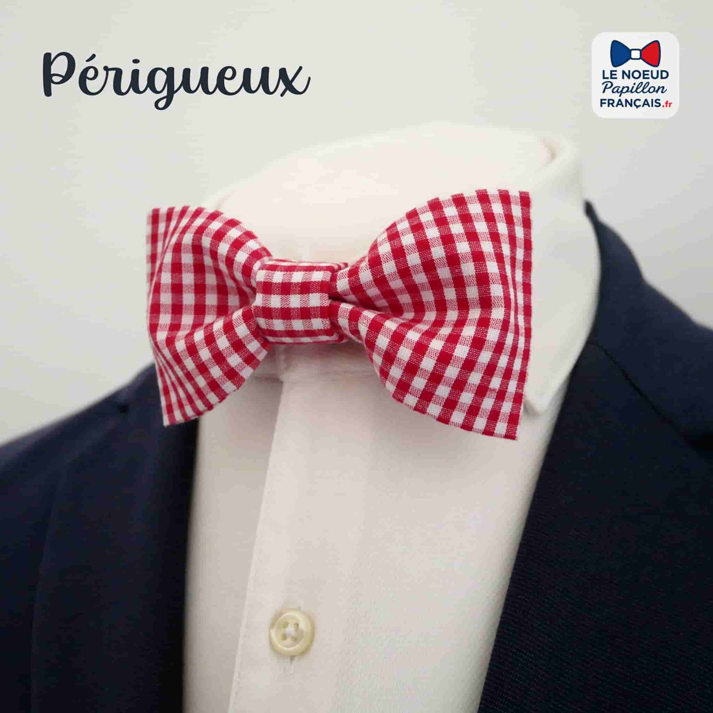 noeud papillon vichy rouge blanc