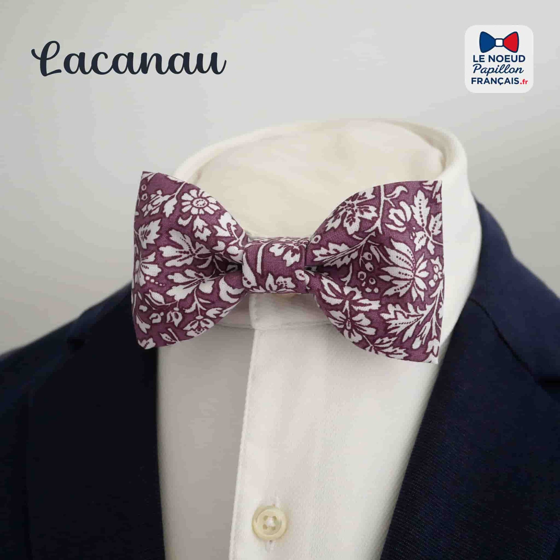 Noeud papillon parme