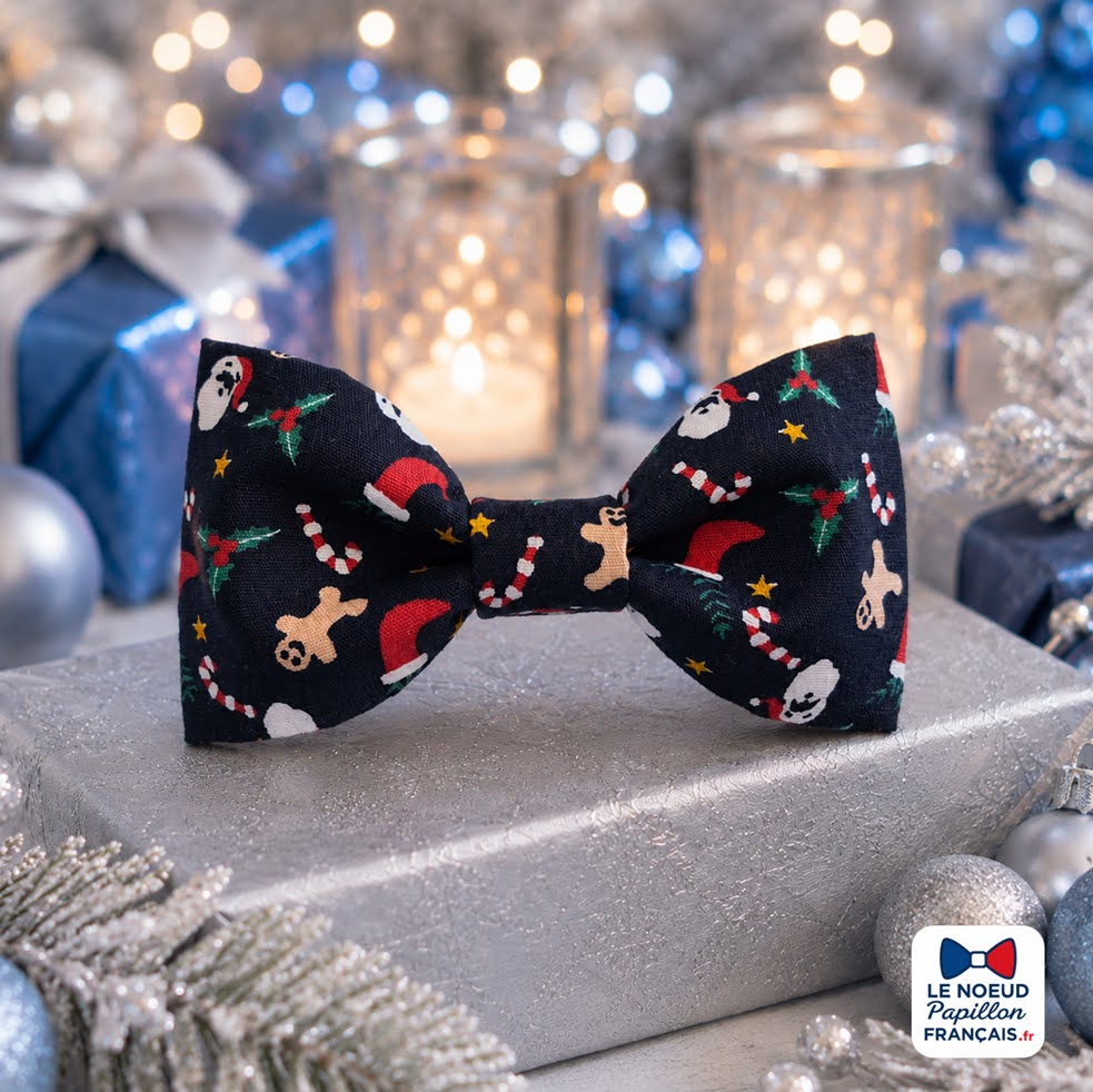 Noeud papillon Noel bleu - "Vive le vent" - Edition limitée de Noel