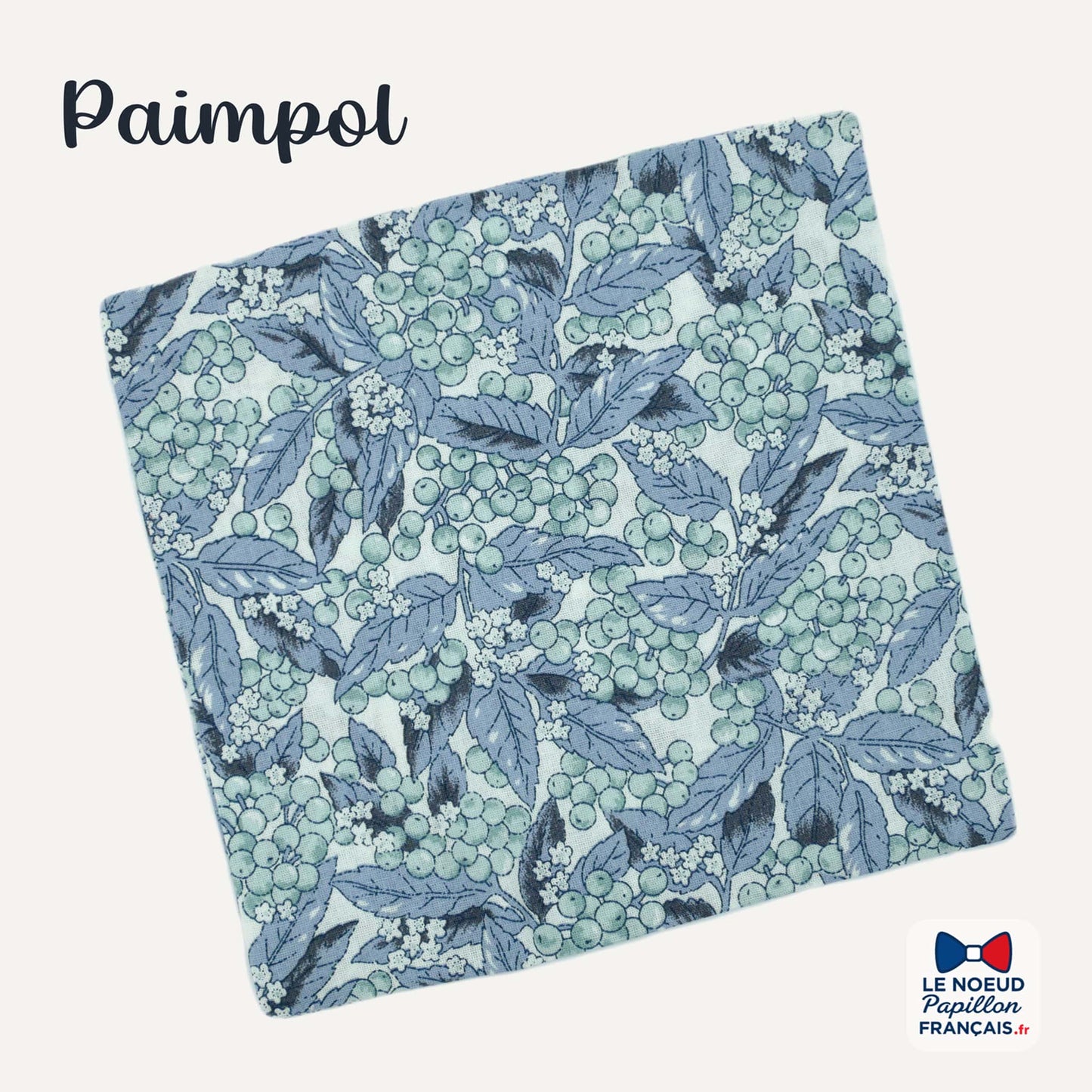 Pochette de costume bleu vert