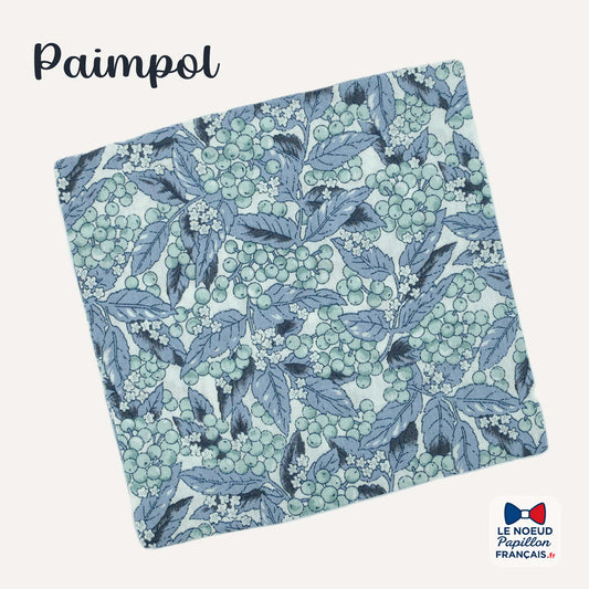 Pochette de costume bleu vert