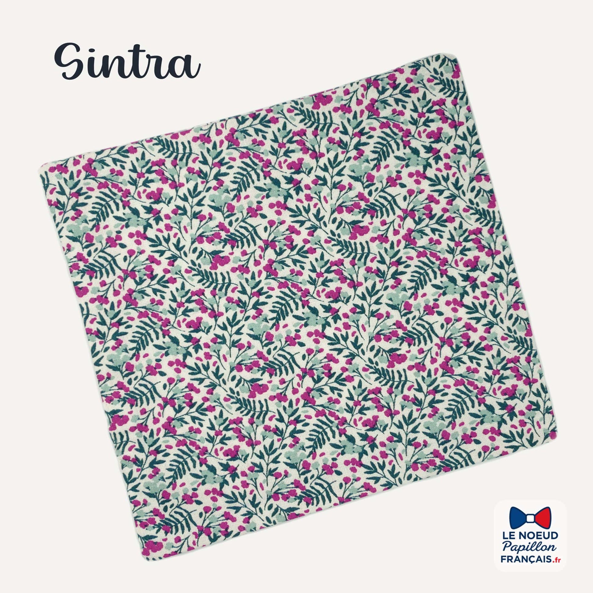 pochette de costume vert violet