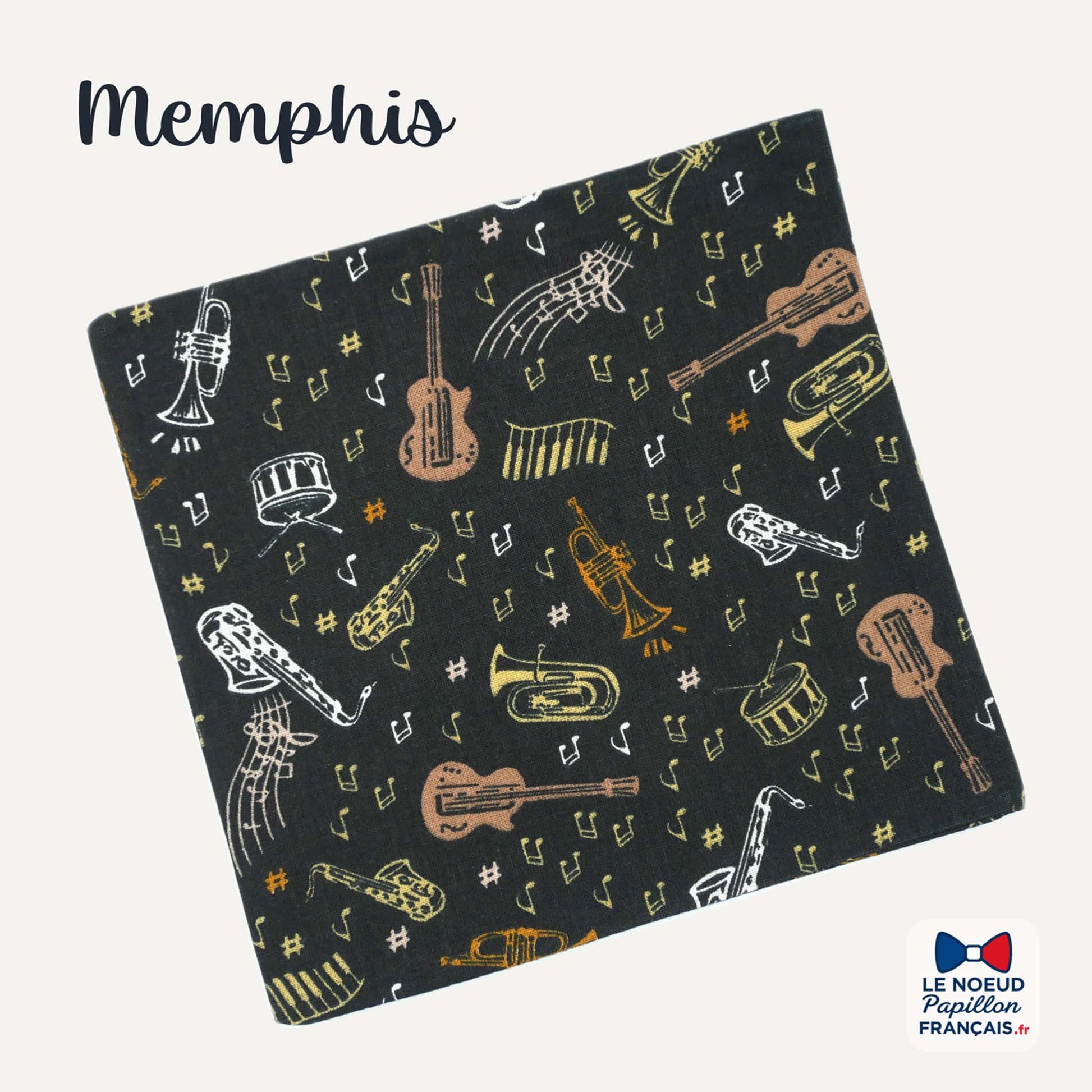 Pochette de costume musicien