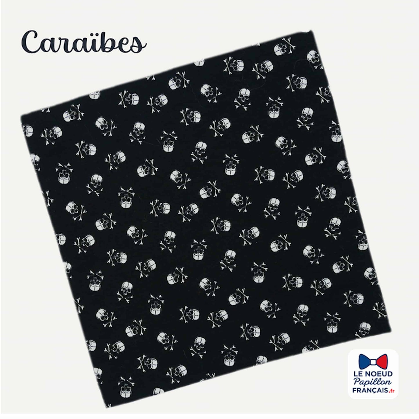 accessoire costume pirate