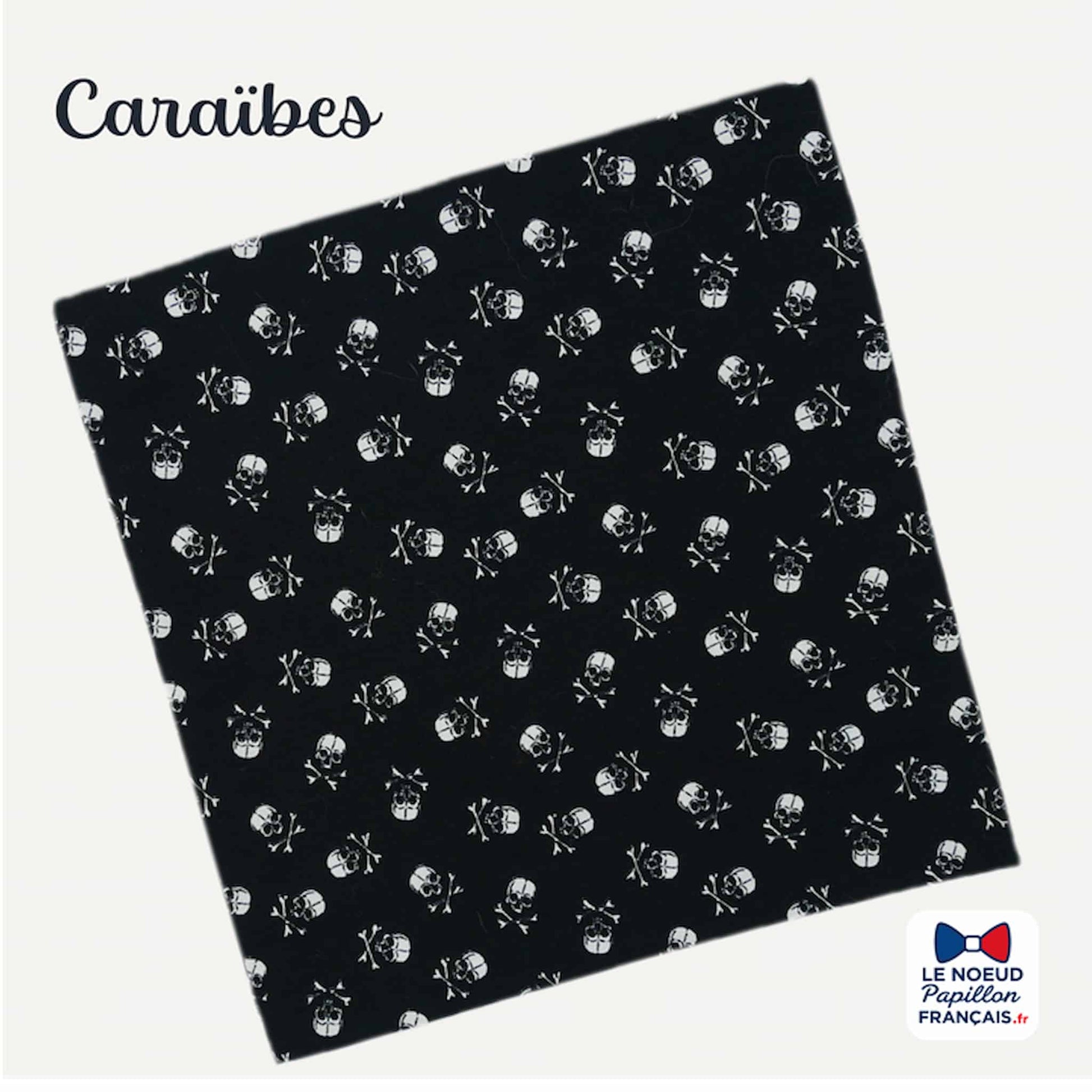 accessoire costume pirate