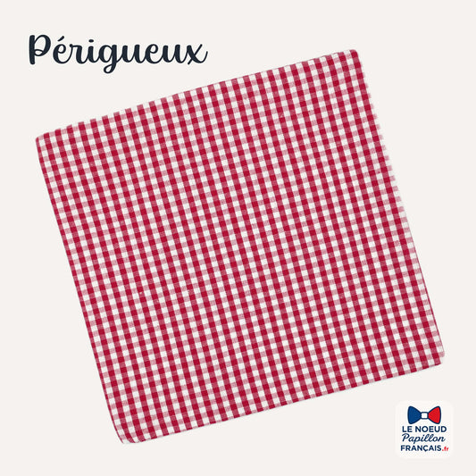 Pochette de costume vichy carreaux rouges